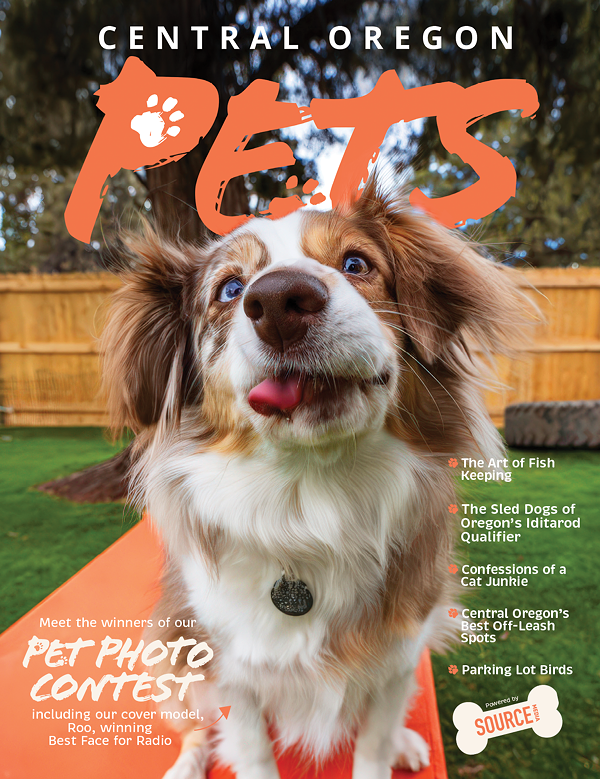 The Source Weekly Bend Oregon Free Stuff The Source Weekly Bend Oregon Free Stuff